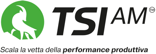 TSI-AM